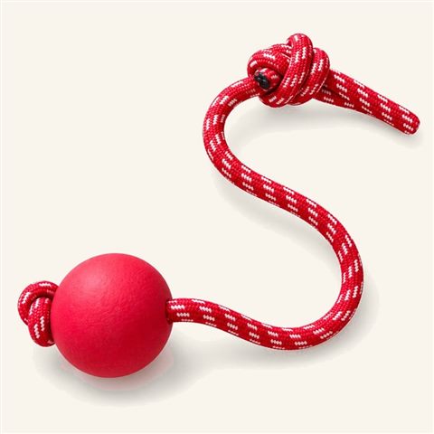 Pelota con cuerda para juego interactivo