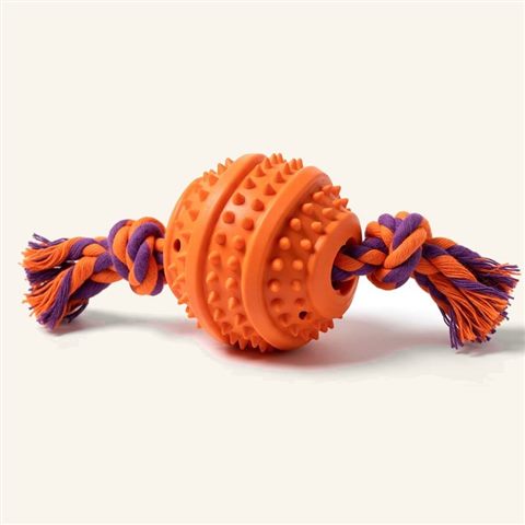 Pelota dental con cuerda dispensadora de premios