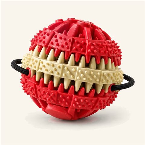 Pelota dental texturizada para perro